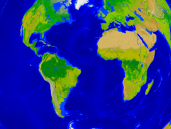 Atlantischer Ozean Vegetation 1600x1200